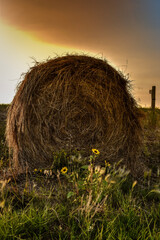hay bale in the field