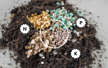 fertilizer in soil. The concept of plant care is the need for feeding with various fertilizers. Text N, P, K, Ca, Mg, S, Mn, Cl, B, Fe, Zn - obrazy, fototapety, plakaty