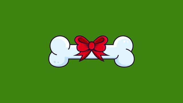 Cartoon dog bone with red ribbon animation. icon Isolated on green Background.