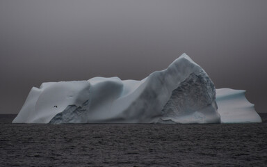 Beautiful view of icebergs in Antarctica