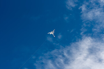 Colorful Kites flying over the sky
