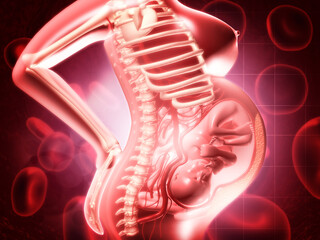 Pregnant woman infographic background, concept and idea for healthcare technology, innovation medicine, health, science and research