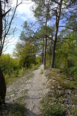 Landschaft im NSG Trockengebiete bei Machtilshausen,  Landkreis Bad Kissingen, Unterfranken, Franken, Bayern, Deutschland