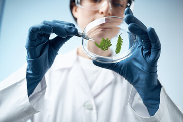 Naklejka premium laboratory assistant chemical solutions biologist research study close-up