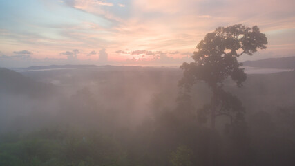 aerial view scenery sunrise mist above the mountain in tropical rainforest..slow floating fog blowing cover on the top of mountain look like as a sea of mist. .beautiful sunrise in the mist 