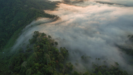 aerial view mist above the mountain in tropical rainforest and .beautiful sunrise scenery view in Phang Nga valley.