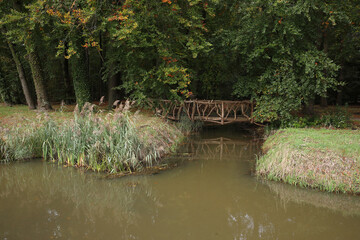 Naklejka premium A wooden bridge in a forest in autumn