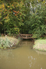 Fototapeta na wymiar A wooden bridge in a forest in autumn 