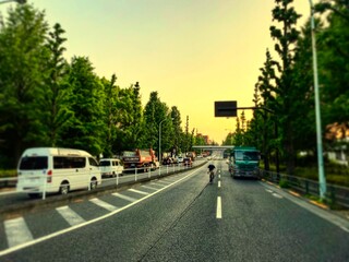 東京の道路。街路樹。