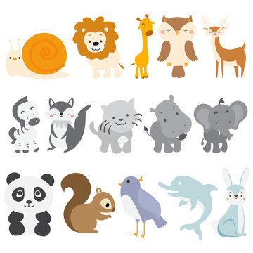 animal illustrator 