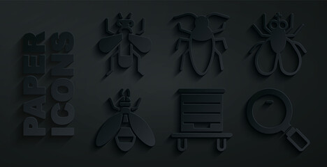 Set Hive for bees, Insect fly, Bee, Magnifying glass, Cockroach and icon. Vector