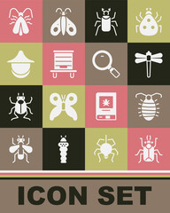 Set Beetle bug, Larva insect, Dragonfly, Hive for bees, Beekeeper hat, Clothes moth and Magnifying glass icon. Vector