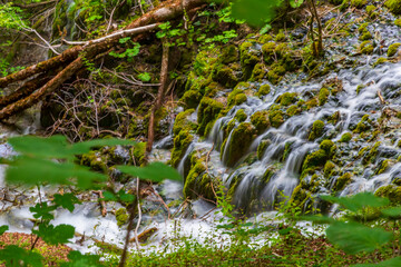 Plitvice lakes national park HD wallpaper - free download