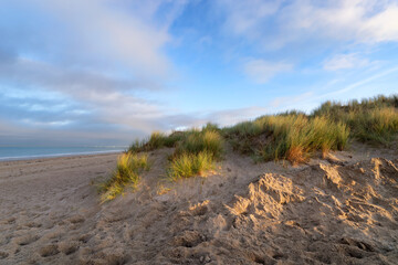 Fototapeta na wymiar Sand dunes of Bricqueville-sur-Mer coast