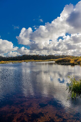 Schöner Herbstspaziergang an der polnischen Ostsee vor den Toren Kolbergs - Polen
