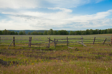 Fototapeta na wymiar Summer landscape with old fence