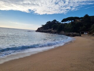 beach at sunset