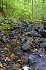 Der Eisgraben im Naturwaldreservat Eisgraben bei Hausen in der Rhön, Biosphärenreservat Rhön, Unterfranken, Franken, Bayern, Deutschland.