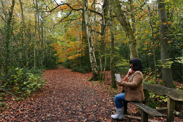 Autumn trees, Woman sitting on a wooden bench using a mobile phone, relaxing in the colourful woods, Autumn leaves, person sitting on a bench in the forest using a mobile phone wearing wellingtons 