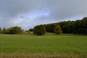 Das Naturschutzgebiet Lange Rhön in der Kernzone des Biosphärenreservat Rhön, Bayerischen Rhön, Landkreis Rhön-Grabfeld, Unterfranken, Bayern, Deutschland .