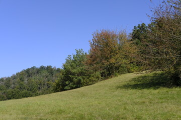 Landschaft im Naturschutzgebiet Hohe Wann zwischen Zeil am Main und Krum, Landkreis Hassberge, Unterfranken, Franken, Bayern, Deutschland