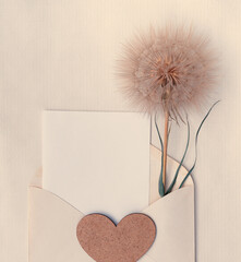 Greeting card with wild plants dandelions with copy space