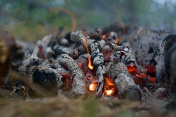 bonfire wood fire flame sparks