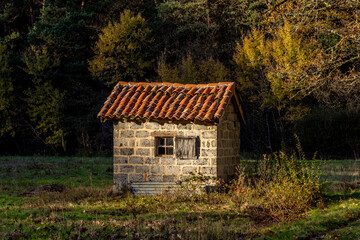 Isolated and abandoned cabin in the forest