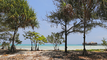 Tropical beach with trees and turquoise water, Zanzibar island, Tanzania