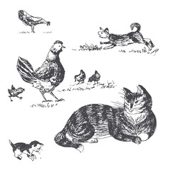 Cat with kitten,dog, hen with chickens. Vector hand drawn rural illustration.