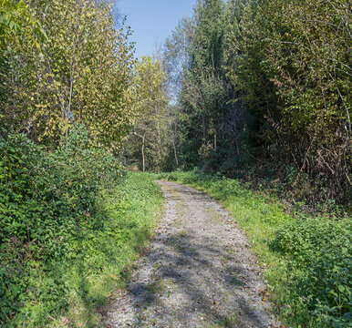 Waldweg bei Eschenbach, Kanton Luzern, Schweiz