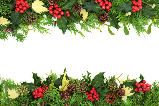 Natural winter solstice and Christmas nature background border with holly, cedar cypress, mistletoe, pine cone and ivy leaves on white background, copy space. Top view. Flat lay.