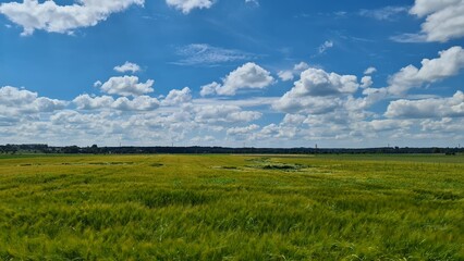 Landscape near Buchloe in Germany