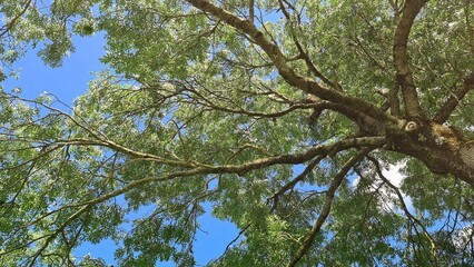 Landscape near Buchloe in Germany