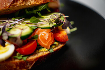 Sandwich of toasted bread and stuffed with fresh organic vegetables, herbs and protein foods. Juicy healthy red fish, green cucumber, tomato, egg and microgreen. Delicious high-calorie breakfast