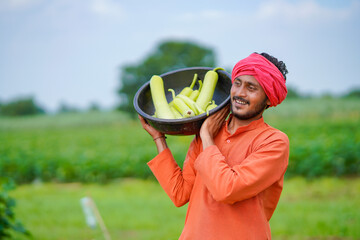 Indian farmer at bottle gourd agriculture field.