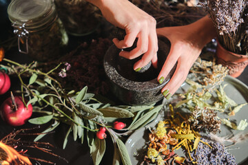 The girl grinds dry herbs in a mortar. Preparation of a mixture of dried herbs for making tea,...