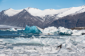 Jokulsarlon Ice Lagoon in south Iceland on a sunny spring day