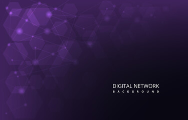 Obraz premium Purple Hexagon Digital Network Connection Internet Technology Background