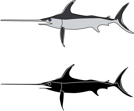 2 7 Best White Marlin Images Stock Photos Vectors Adobe Stock