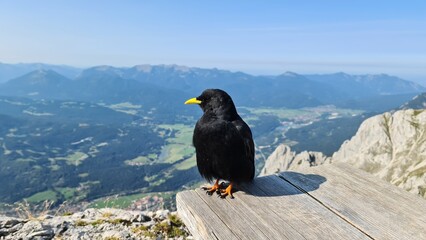 Nature near Mittenwald in Germany