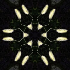 hexagonal floral fantasy from grey and purple dried grass on a textured black background