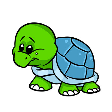 Little green turtle character animal illustration cartoon