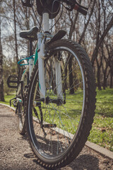 Fototapeta premium bicycle in the woods