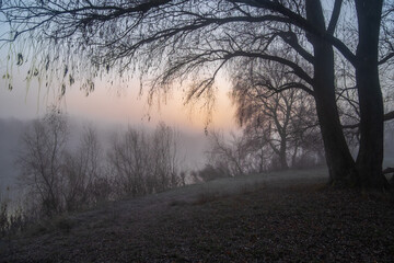 sunrise in the fog
