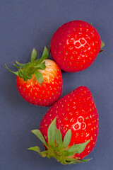 strawberries on a blue background