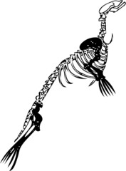 Fototapeta premium Seal fish skeleton illustration in black and white