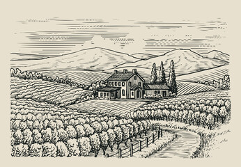 Fototapeta premium Hand drawn vineyard landscape. Sketch vintage style vector illustration
