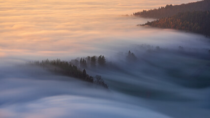 Fog streams down through trees into a valley in the Black Forest
