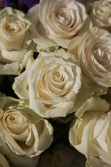 bouquet of white roses